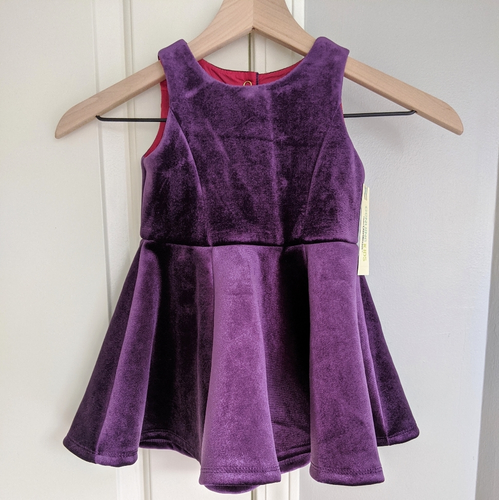 NWT Genuine Kids Purple Velour Dress 2T